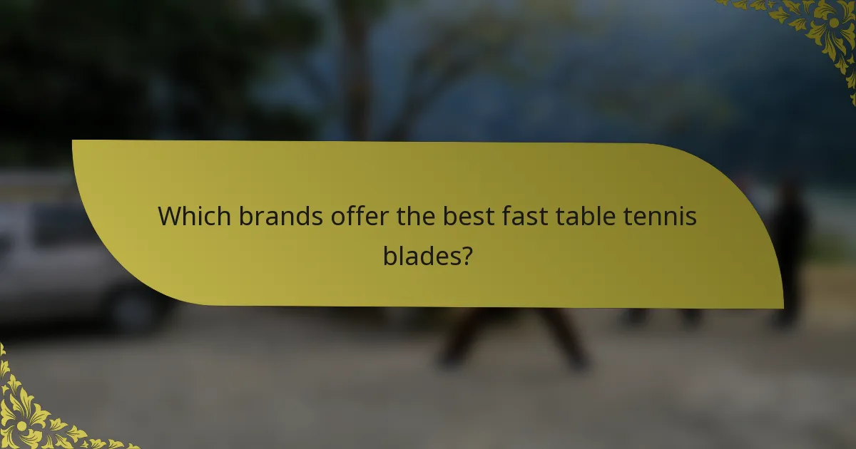 Which brands offer the best fast table tennis blades?